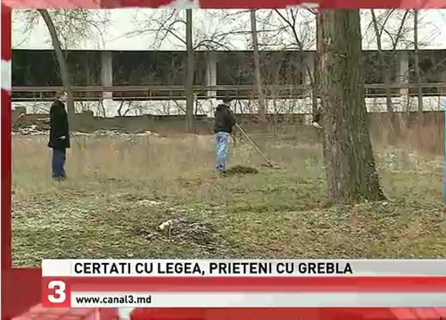 Au Ã®ncÄƒlcat legea ÅŸi s-au apucat de lucru Ã®n folosul comunitÄƒÈ›ii